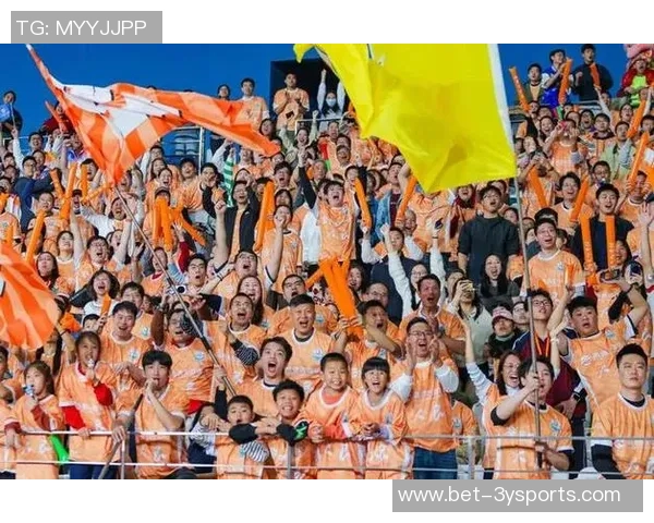 顺德业余足球联盟：激情四溢的草根足球盛宴与社区团结的纽带